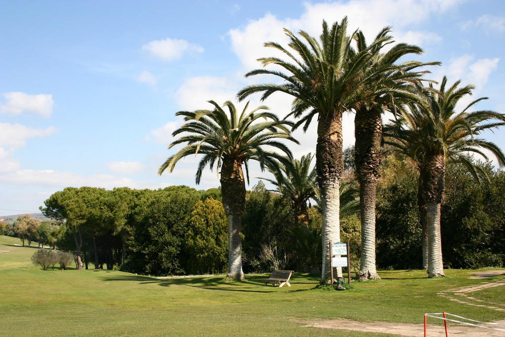 הוילה טרקיניה Agriturismo Pian Di Spille - Golf מראה חיצוני תמונה